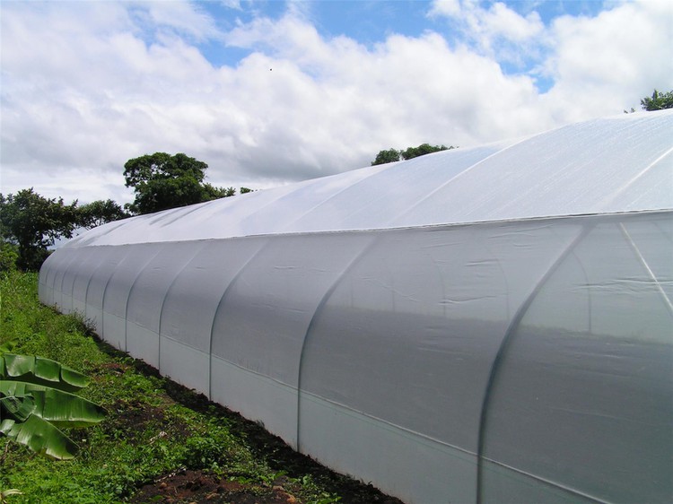 Greenhouse insulation