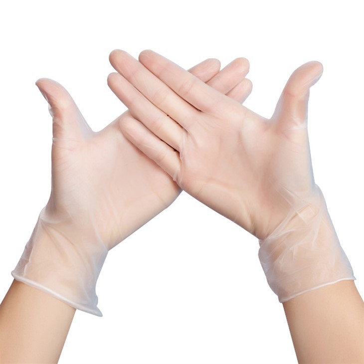 Powder Free Vinyl Gloves