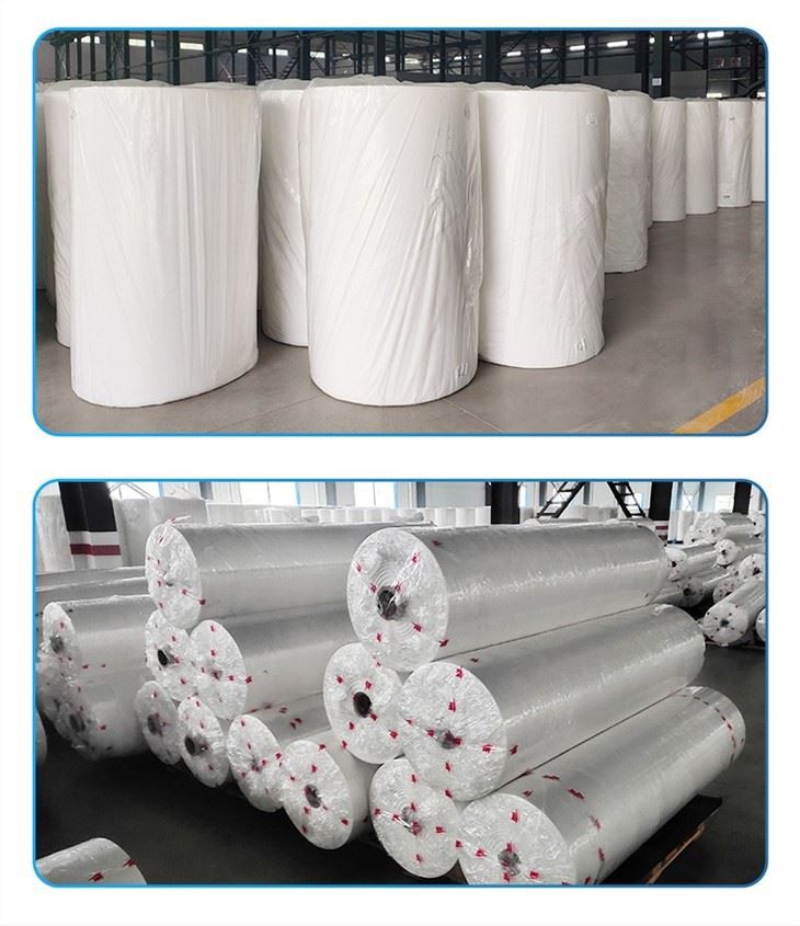 PP Non Woven Fabrics